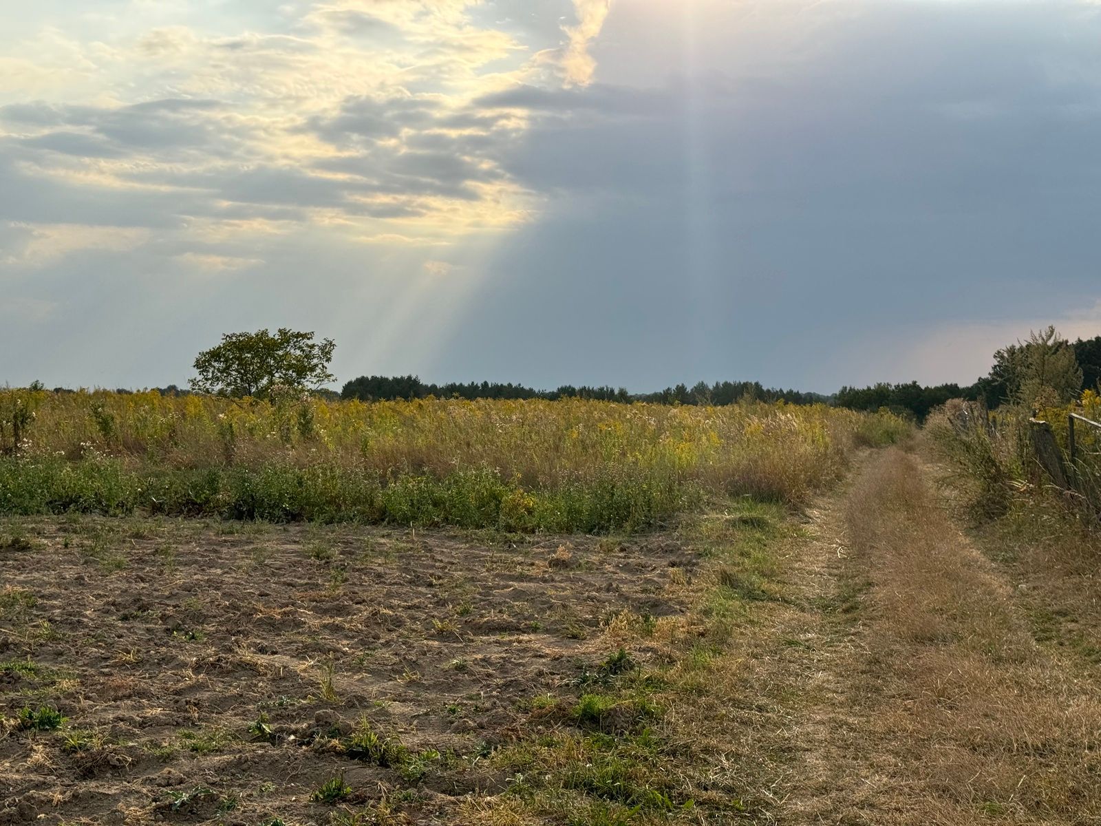 Як війна впливає на ціну землі