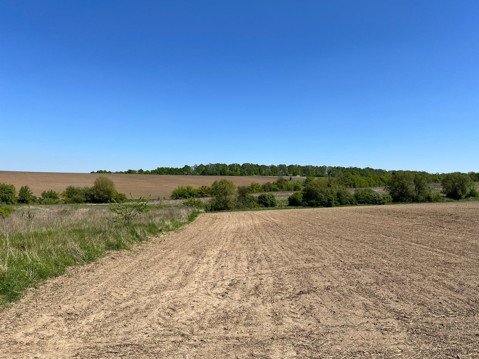 Кто может арендовать сельхозземлю Кто может арендовать сельхозземлю