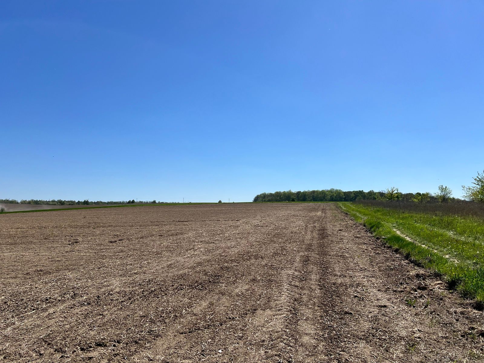 Сколько стоит земля в западных областях Сколько стоит земля в западных областях