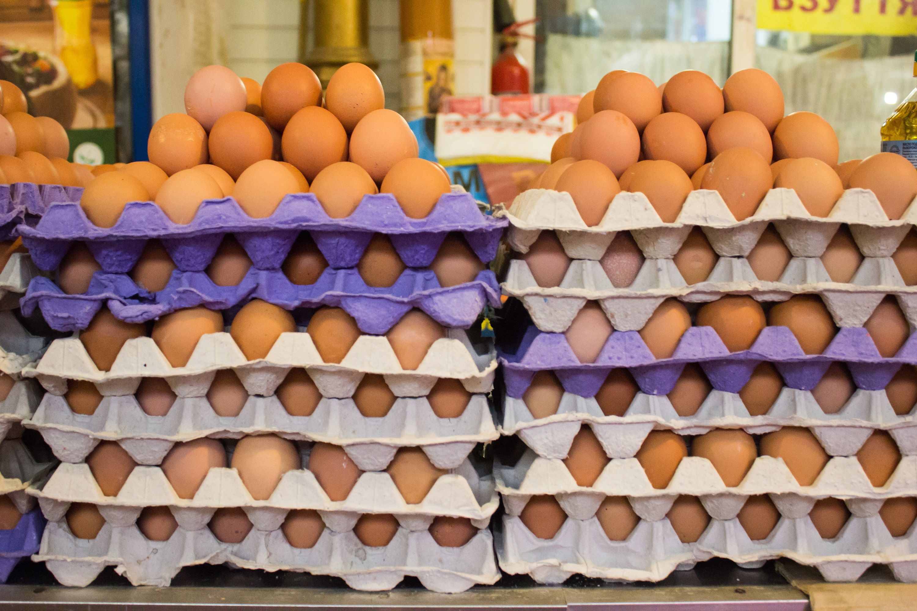 Скоро яйца могут подешеветь Скоро яйца могут подешеветь