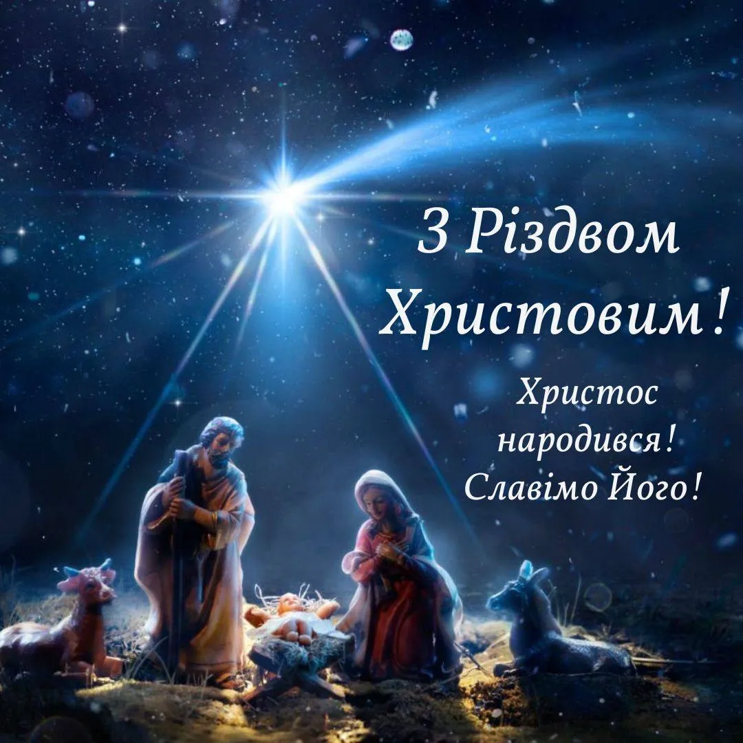 Привітання з Різдвом 2024 Привітання з Різдвом 2024