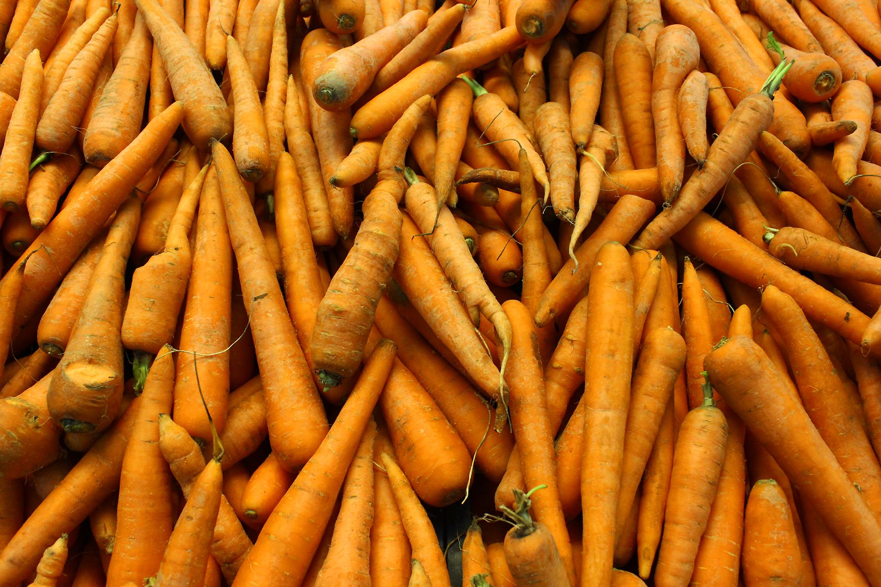 Морква в Україні дорожчає Морква в Україні дорожчає