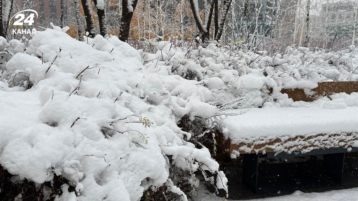 Снег в Украине Снег в Украине