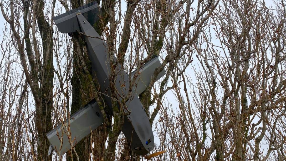 У Київській області російський безпілотник заплутався у дереві