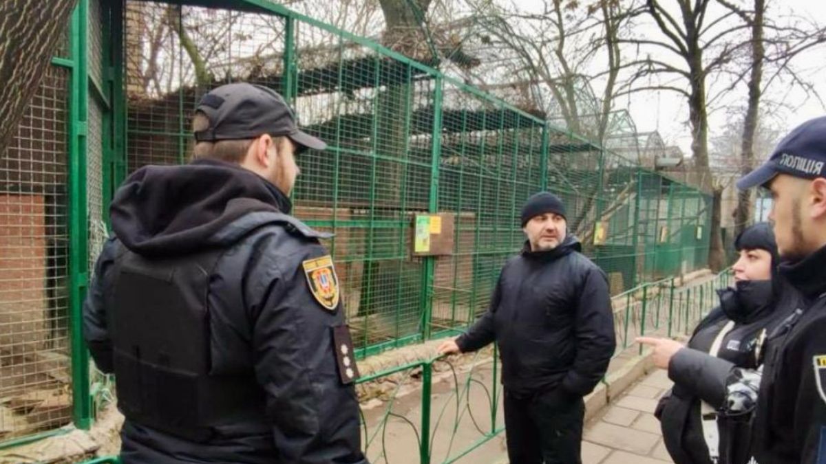 Що відомо про вбивство леопарда в Одесі