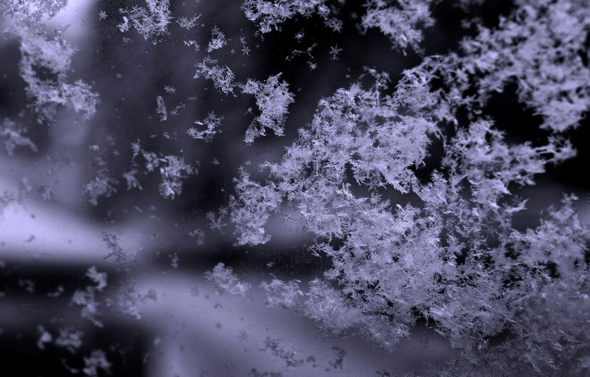 Прогноз погоди на 23 грудня 2024 року - 24 Канал Прогноз погоди на 23 грудня 2024 року - 24 Канал