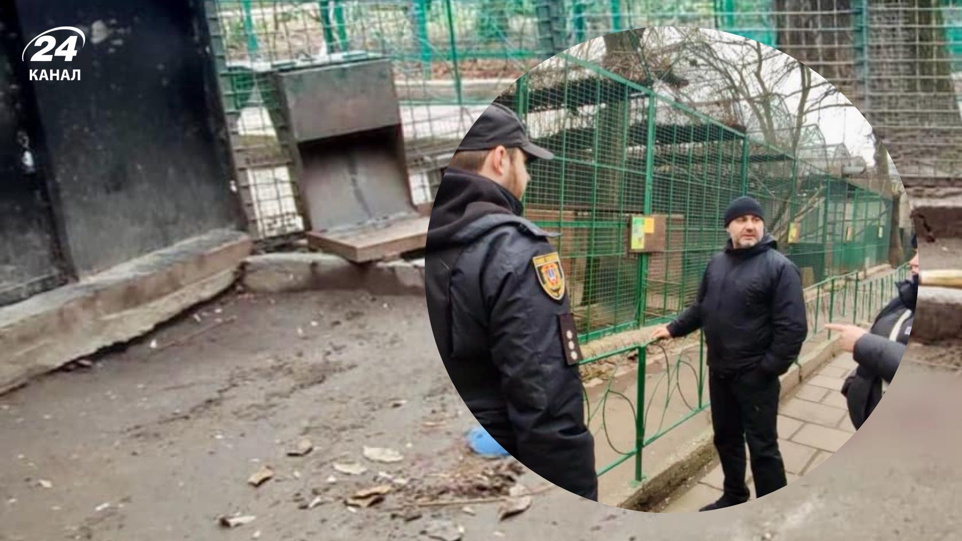 Напад леопарда в зоопарку Одеси: відкрили провадження через порушення правил безпеки - 24 Канал