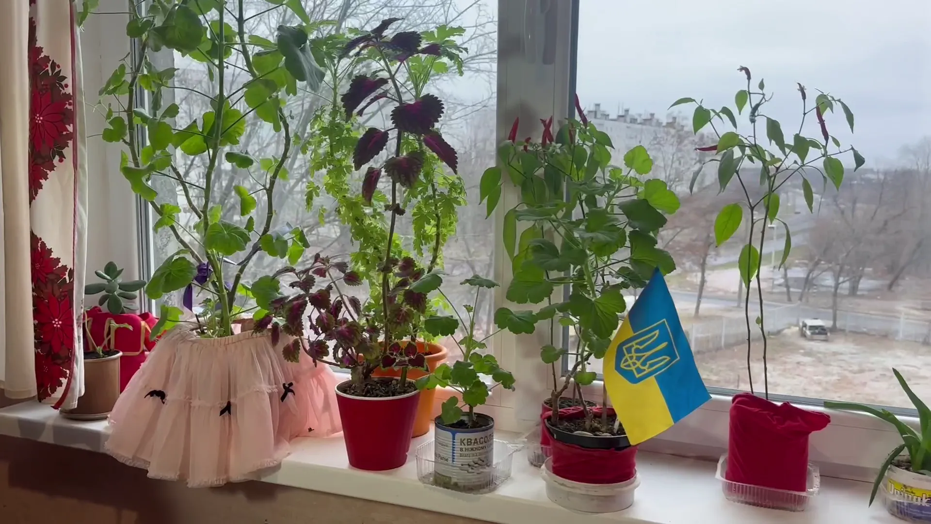 Сначала окна были забиты фанерой/24 Канал Сначала окна были забиты фанерой/24 Канал