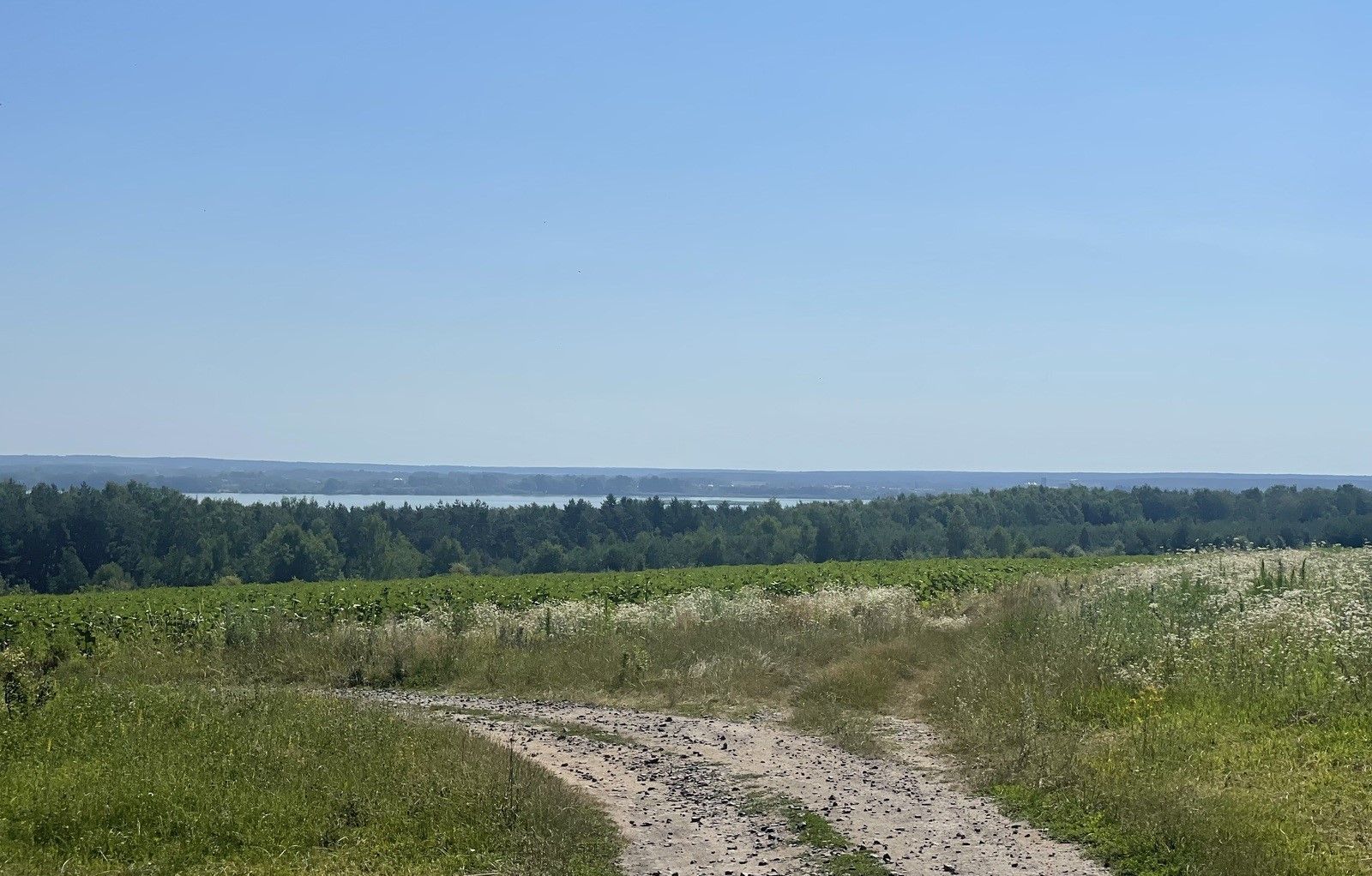 Где в Украине земля стоит больше всего Где в Украине земля стоит больше всего