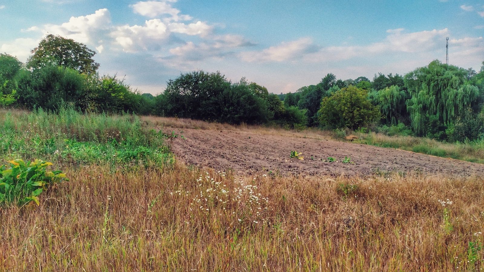 Сколько гектар земли в пае Сколько гектар земли в пае
