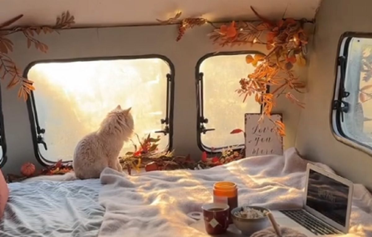 Жінка перетворила старий причіп на затишний дім на колесах Жінка перетворила старий причіп на затишний дім на колесах