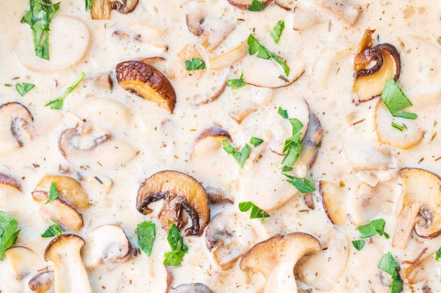 Грибная подлива Грибная подлива