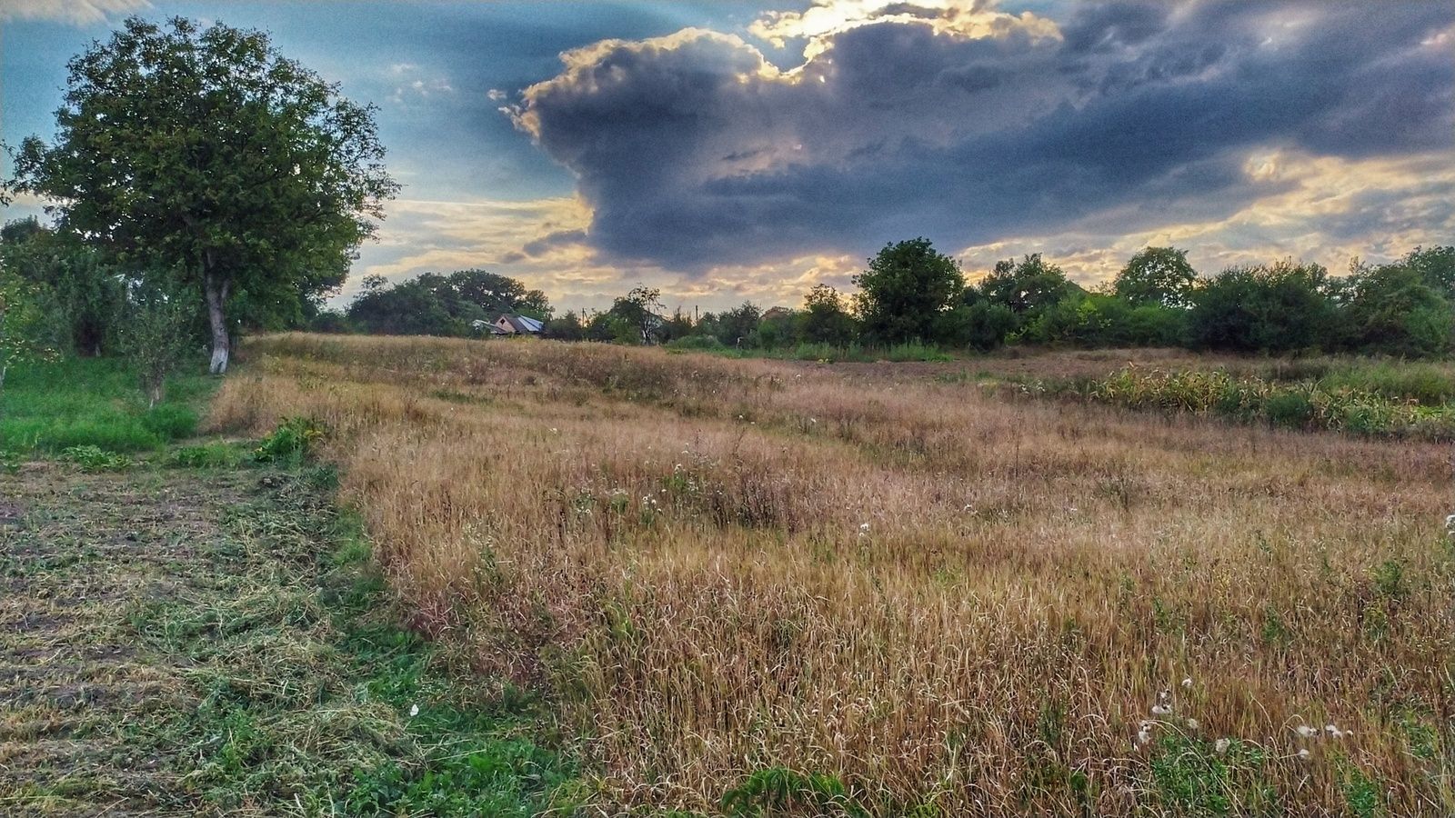 Сколько будет стоить 1 гектар в 2025 году Сколько будет стоить 1 гектар в 2025 году