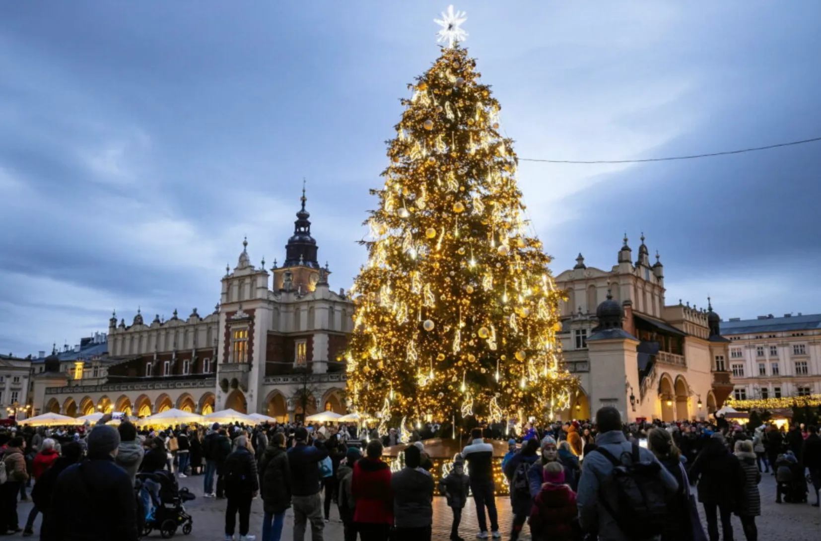 Краковская елка признана самой красивой елкой в мире Краковская елка признана самой красивой елкой в мире