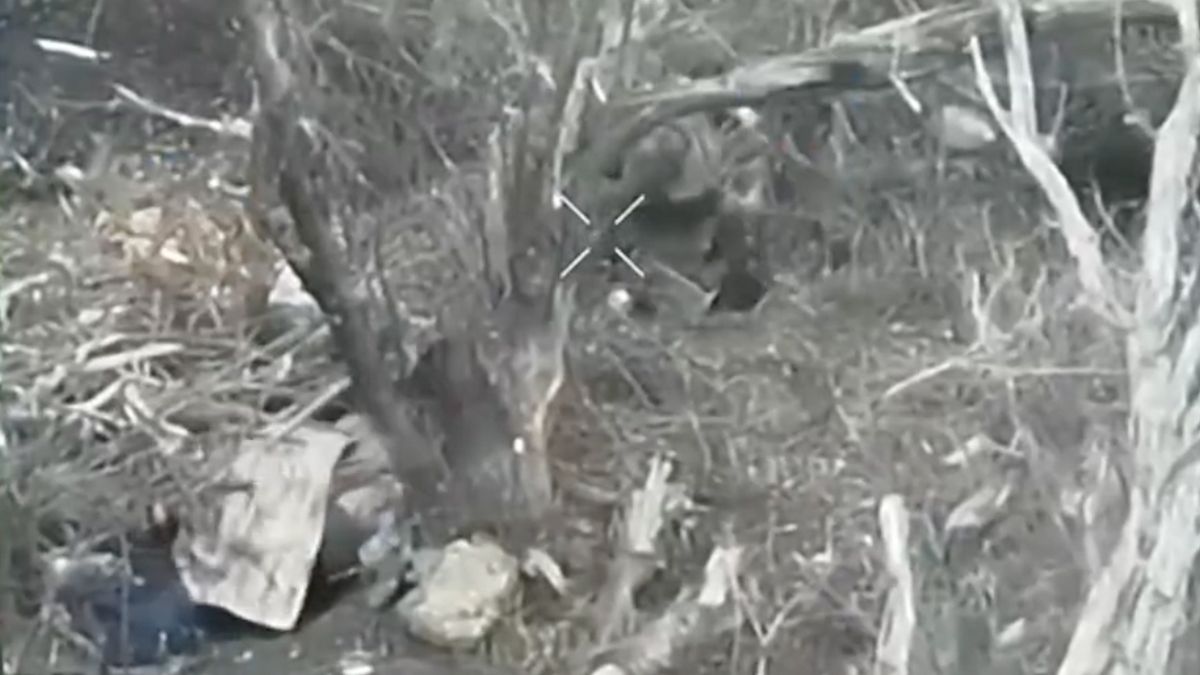 Как военные 32 ОМБр уничтожили вражескую ДРГ на Севере Как военные 32 ОМБр уничтожили вражескую ДРГ на Севере