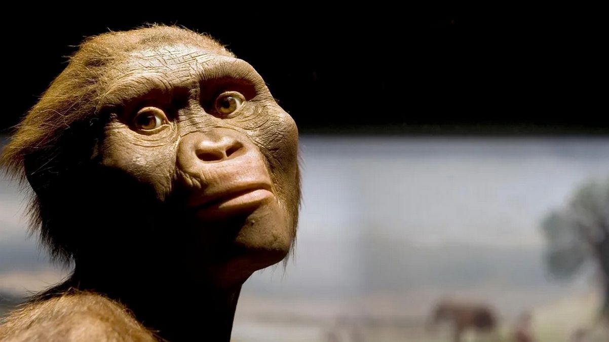 Австралопитеки имели меньшую скорость бега, чем современные люди Австралопитеки имели меньшую скорость бега, чем современные люди