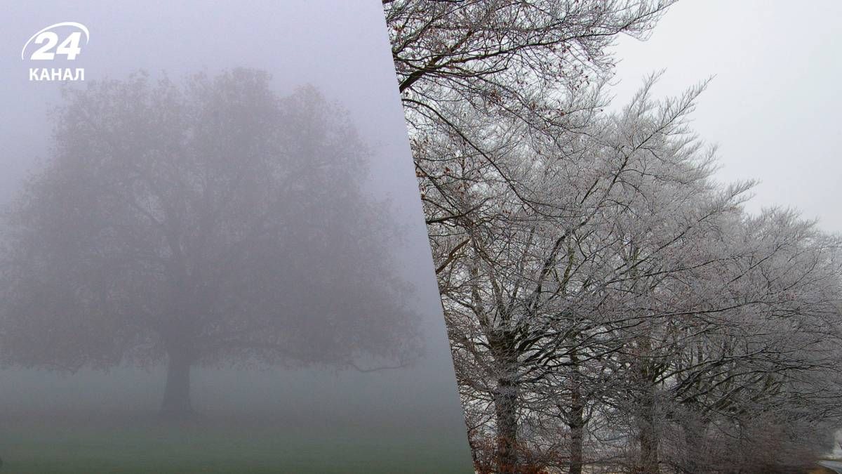 Погода в Україні на 28 грудня 2024 року - 24 Канал Погода в Україні на 28 грудня 2024 року - 24 Канал