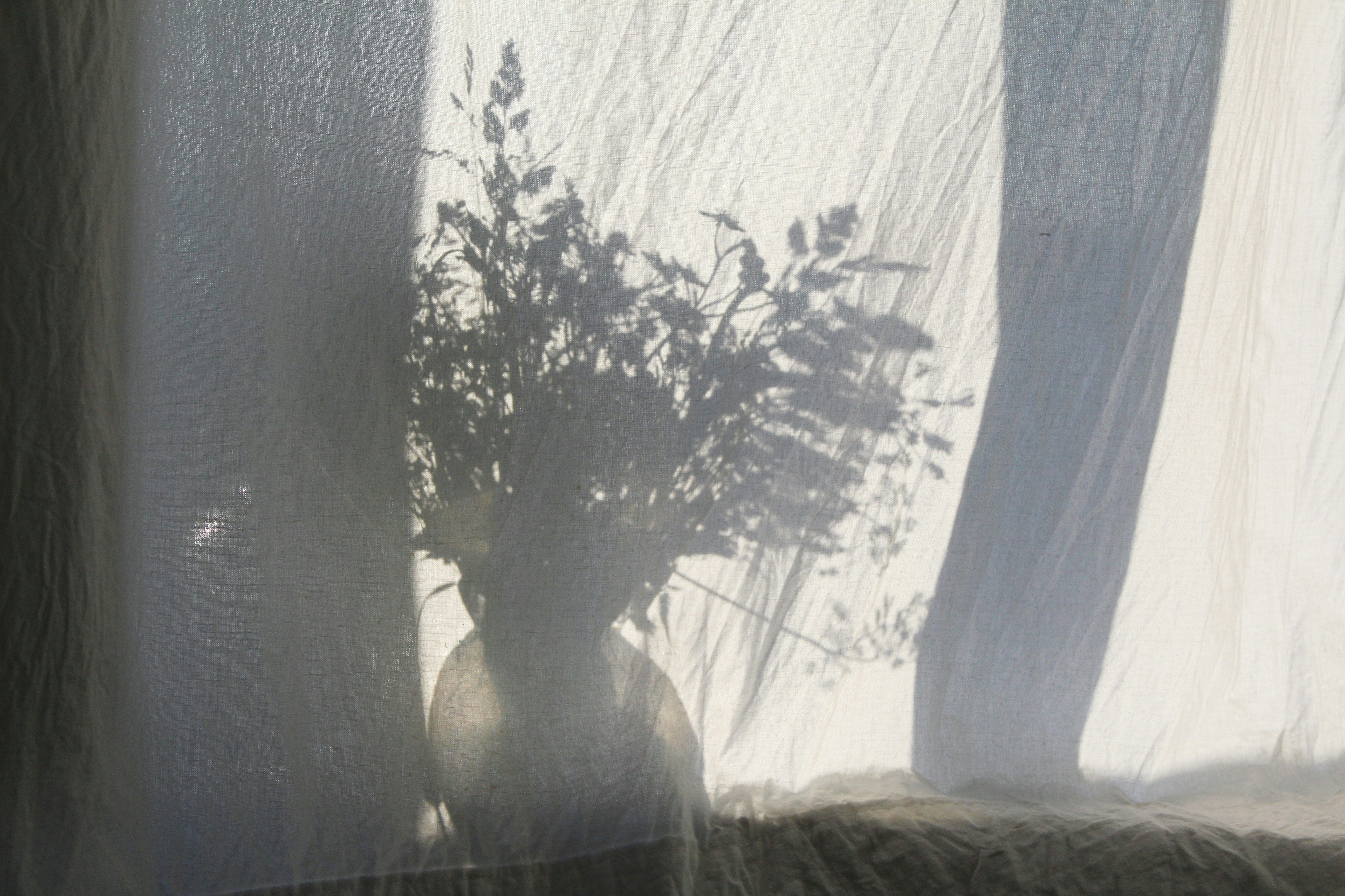 Погода в Україні 29 грудня Погода в Україні 29 грудня