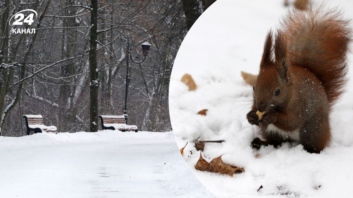 Снег в Украине Снег в Украине