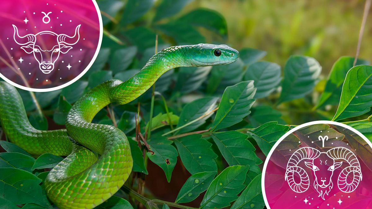 У кого стануться зміни в особистому житті - любовний гороскоп У кого стануться зміни в особистому житті - любовний гороскоп