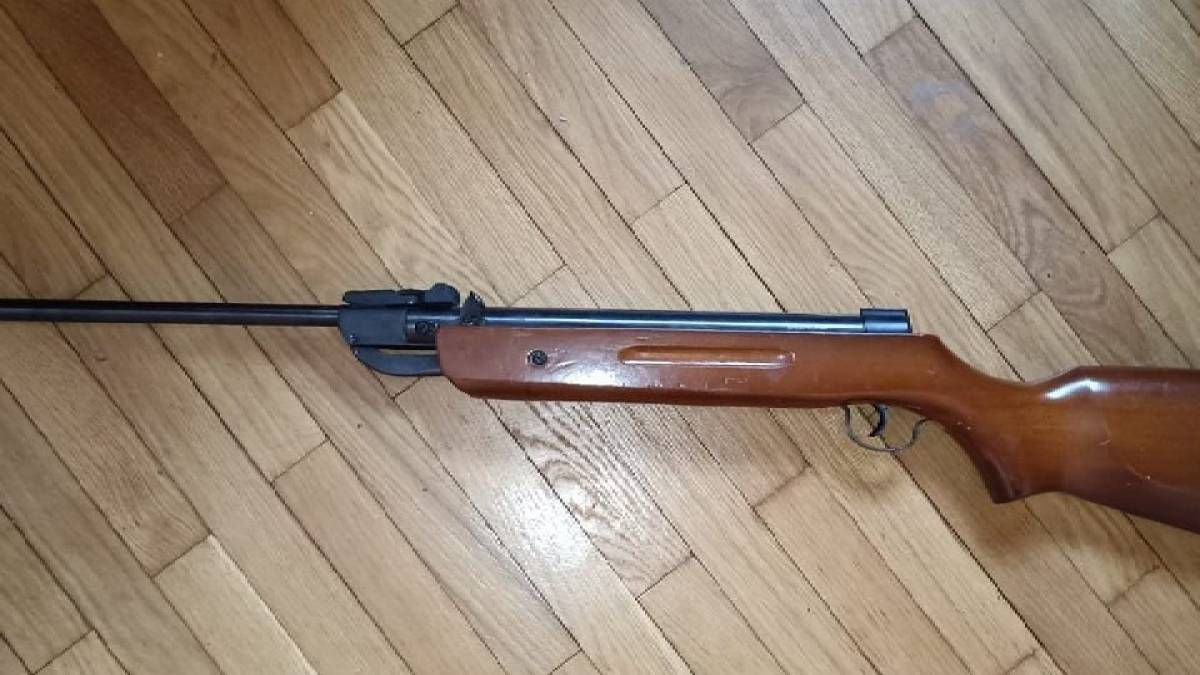 На Львівщині дівчинка дістала поранення гвинтівкою На Львівщині дівчинка дістала поранення гвинтівкою