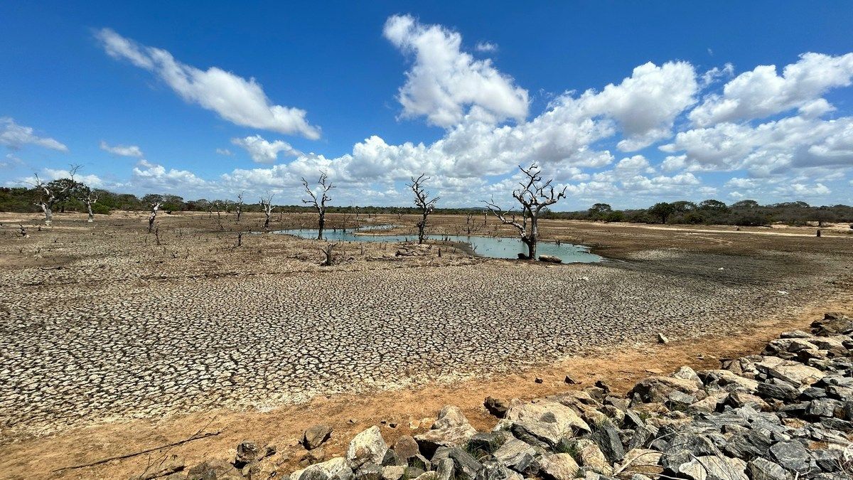 Температурный скачок 2023 года наконец-то имеет возможное объяснение Температурный скачок 2023 года наконец-то имеет возможное объяснение