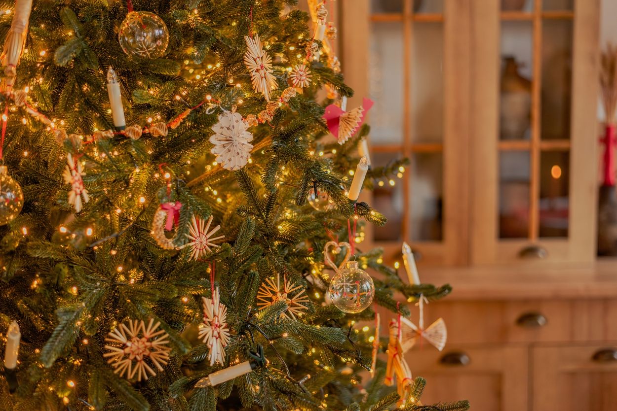 История возникновения елки - как ее украшали наши предки и откуда пришла традиция - lifestyle 24 История возникновения елки - как ее украшали наши предки и откуда пришла традиция - lifestyle 24