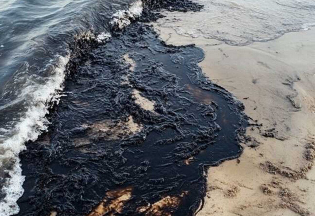 4 Мазутне забруднення вздовж узбережжя Кримського півострова рухається до Ялти - 24 Канал 4 Мазутне забруднення вздовж узбережжя Кримського півострова рухається до Ялти - 24 Канал