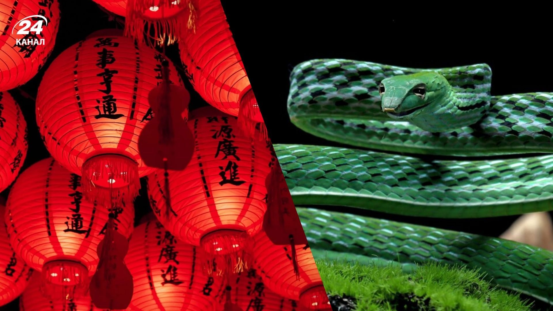 Когда будет Китайский Новый год 2025 Когда будет Китайский Новый год 2025