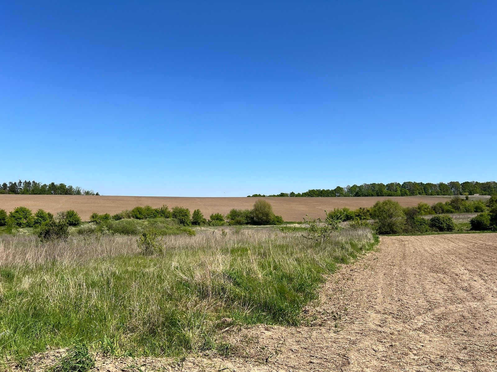 Яка вартість приватизації поля Яка вартість приватизації поля