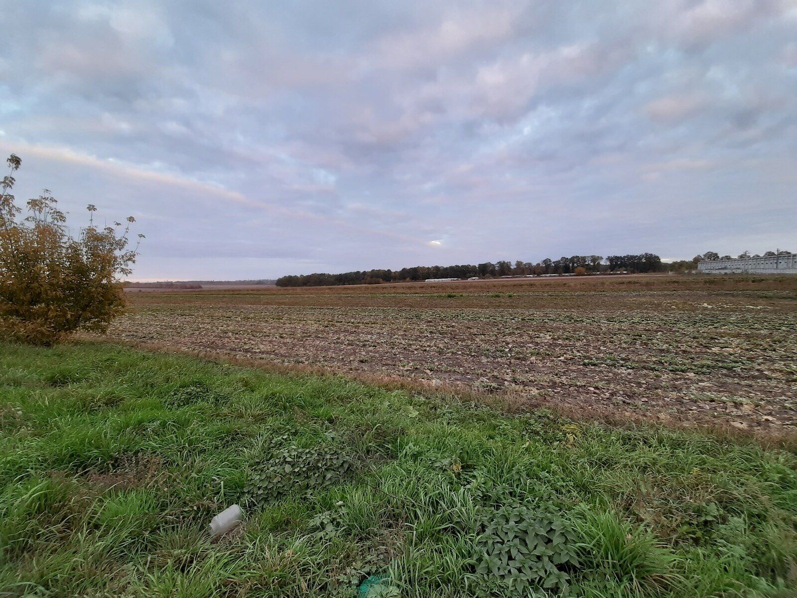 До якого часу треба оформити пай До якого часу треба оформити пай