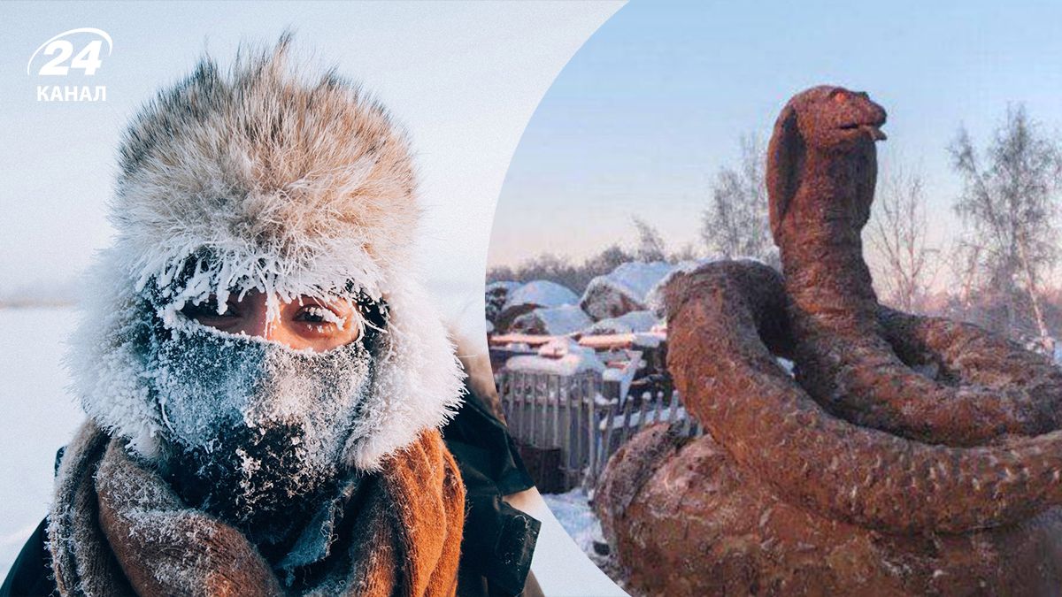 В Якутії зліпили величезну змію з навозу - фото