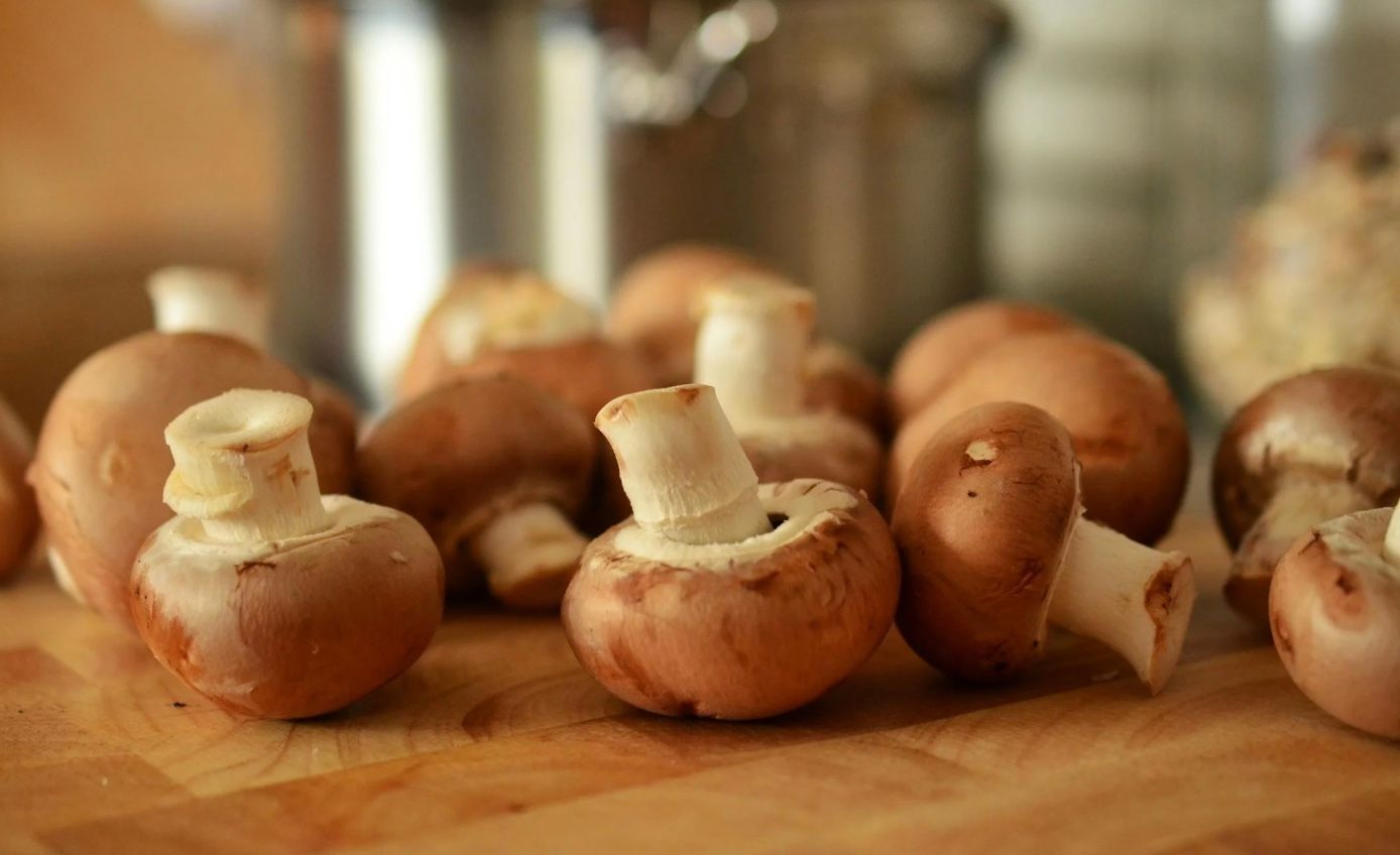 Шампиньоны надо чистить или нет Шампиньоны надо чистить или нет