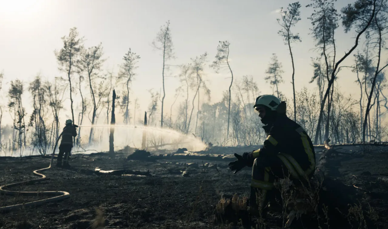 Пожежа в Журавлівському лісі Пожежа в Журавлівському лісі