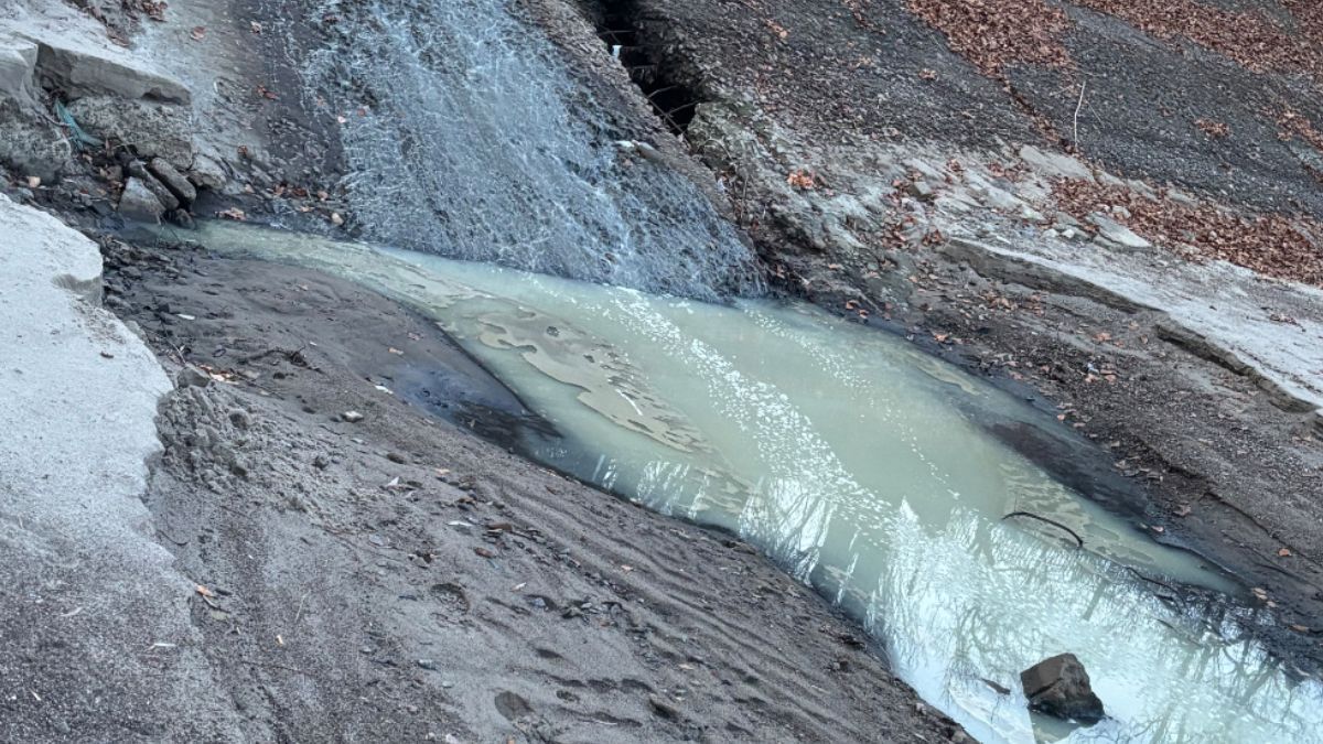 В чем причина загрязнения Кременчугского водохранилища