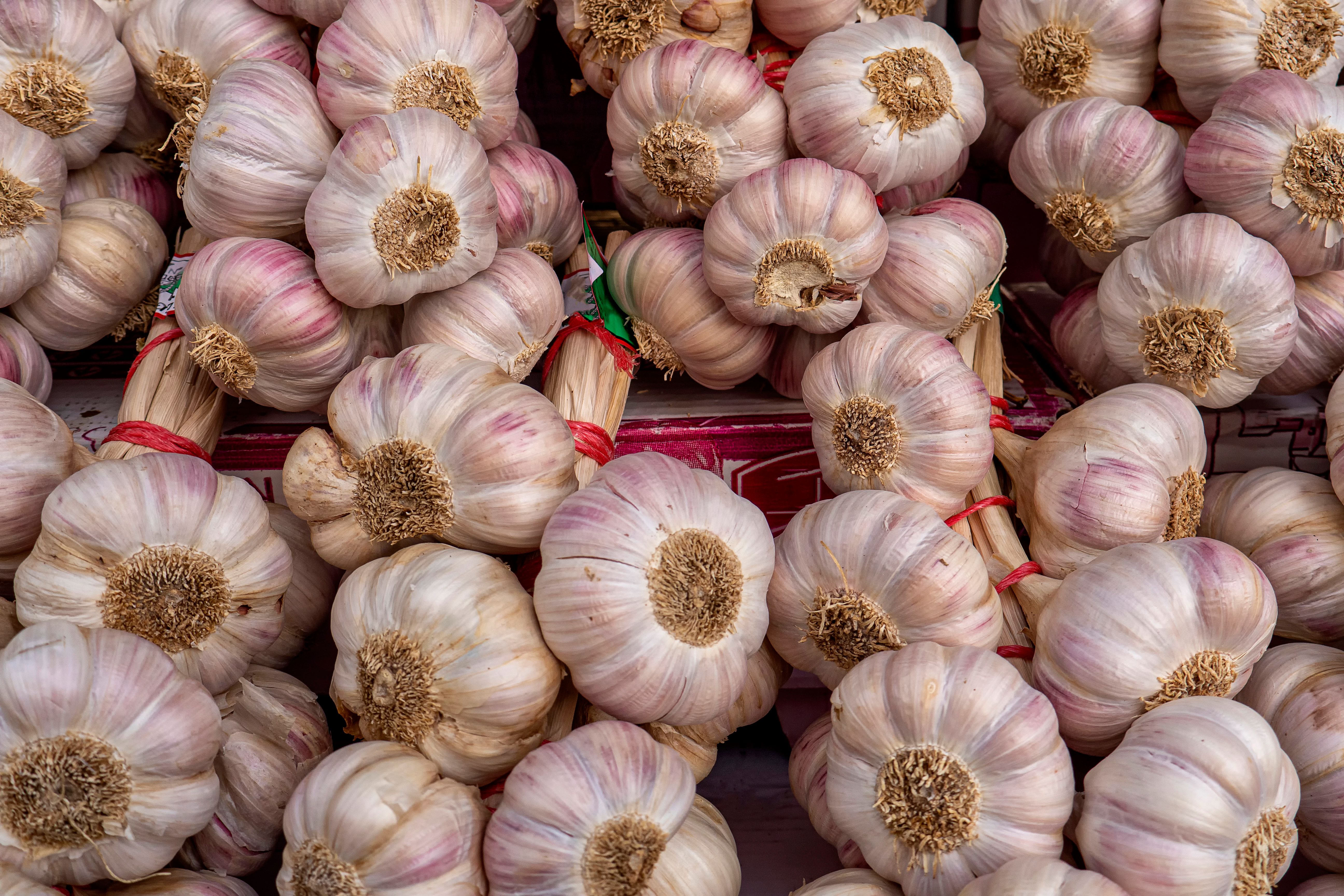 Чому ростуть ціни на часник Чому ростуть ціни на часник