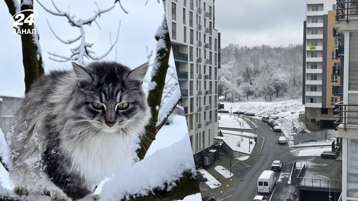 Во Львове выпал снег Во Львове выпал снег