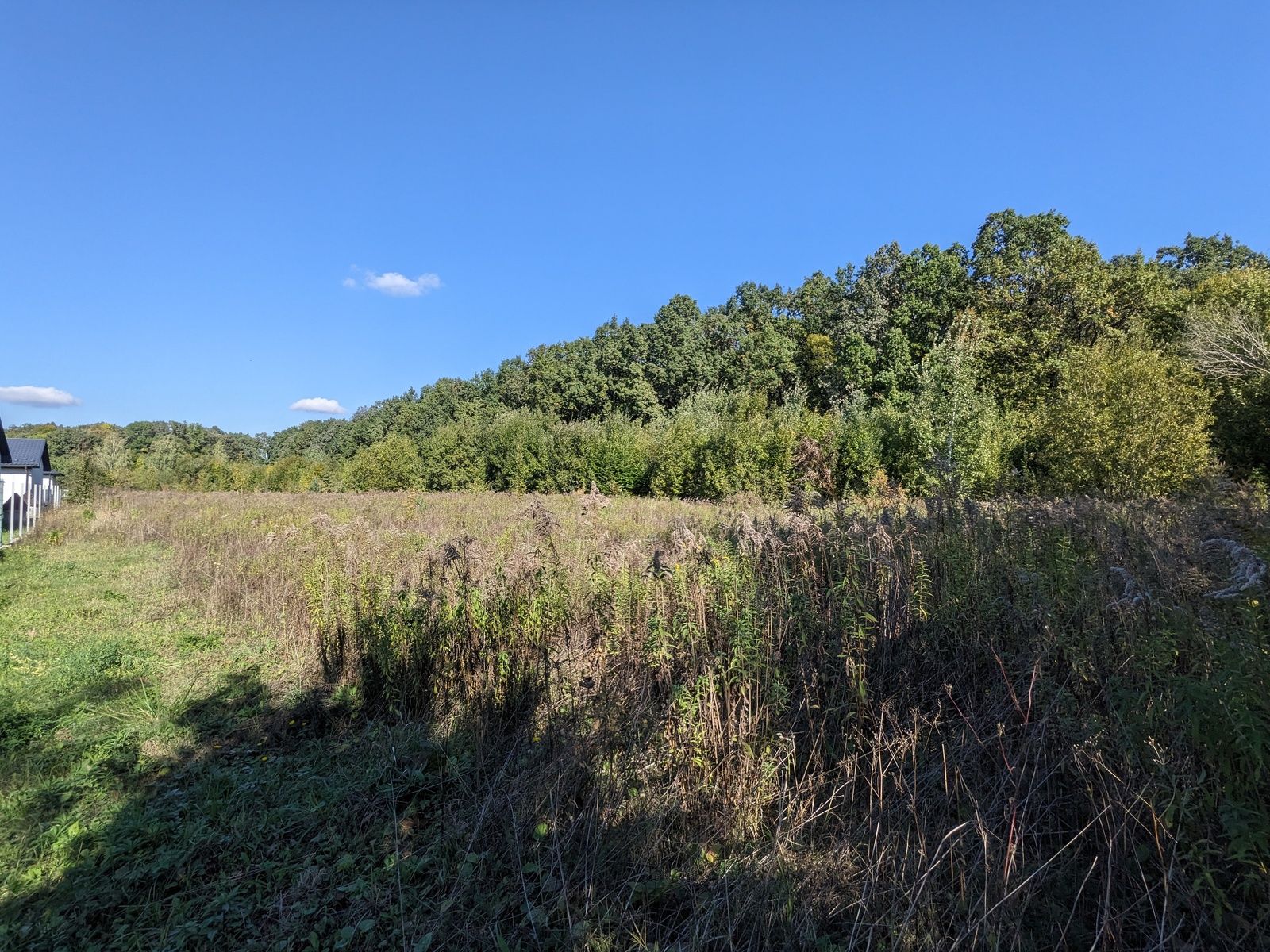 Сколько земли можно приватизировать Сколько земли можно приватизировать