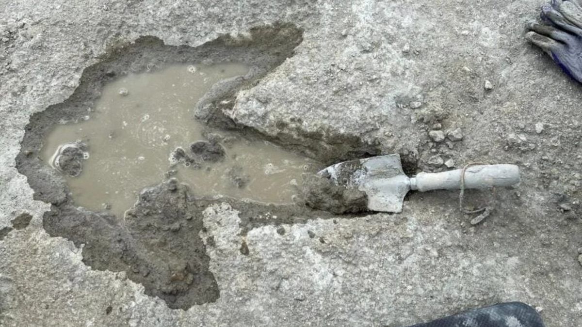 В британском карьере нашли 200 следов динозавров В британском карьере нашли 200 следов динозавров