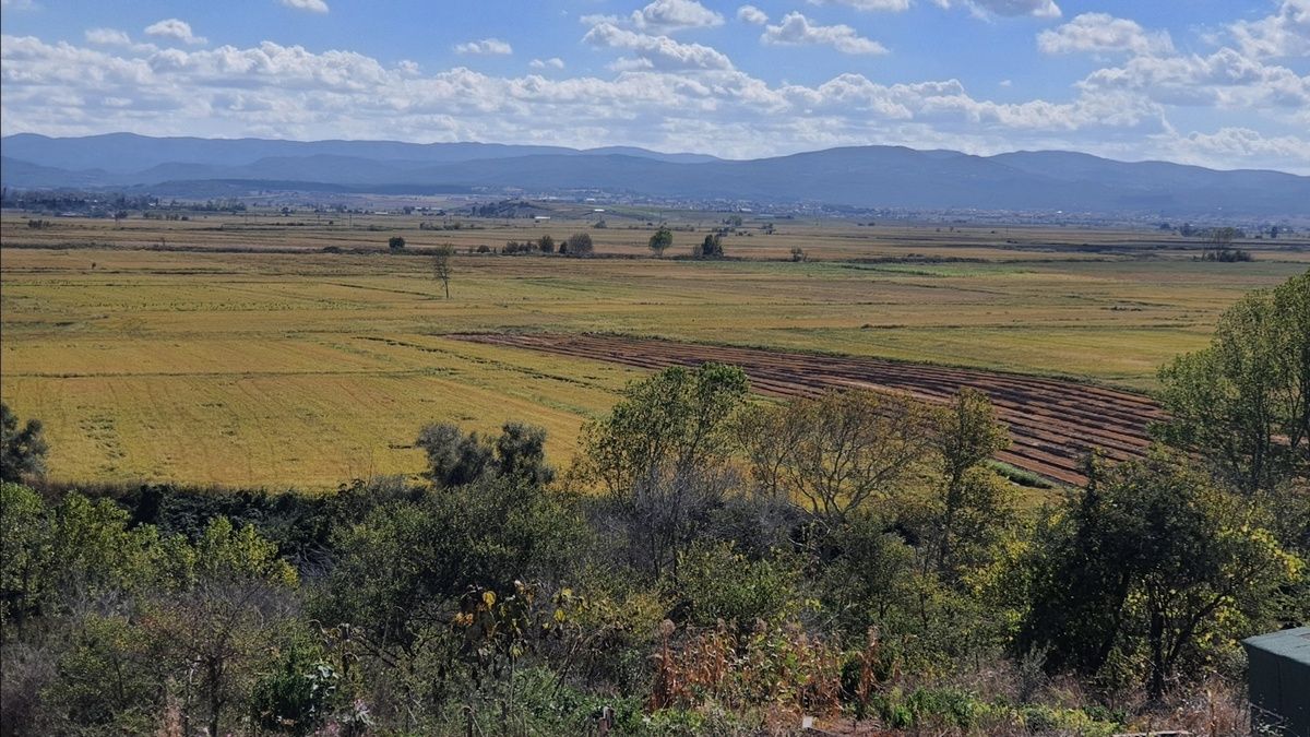 Исследователи нашли место, где войска Александра Македонского победили персов Исследователи нашли место, где войска Александра Македонского победили персов