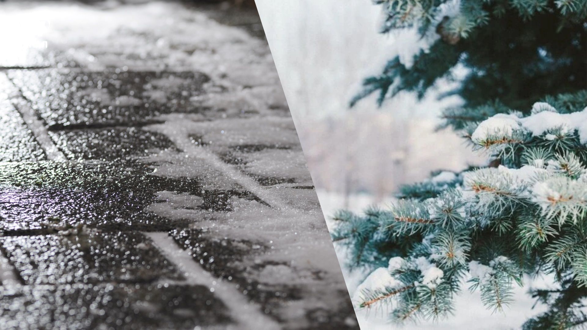 прогноз погоди на 4 січня - 24 Канал прогноз погоди на 4 січня - 24 Канал