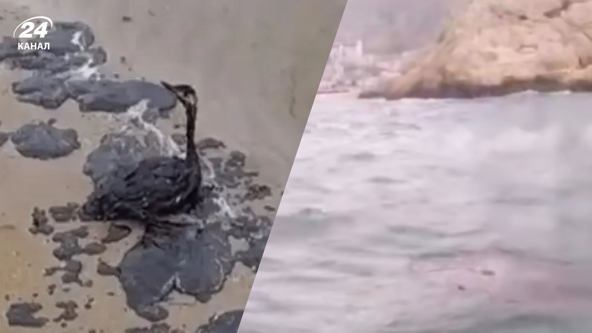 Мазутна пляма дісталася Криму Мазутна пляма дісталася Криму