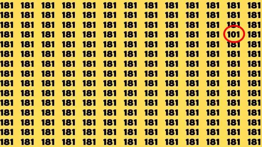 Вот число 101, которое было спрятано на рисунке Вот число 101, которое было спрятано на рисунке