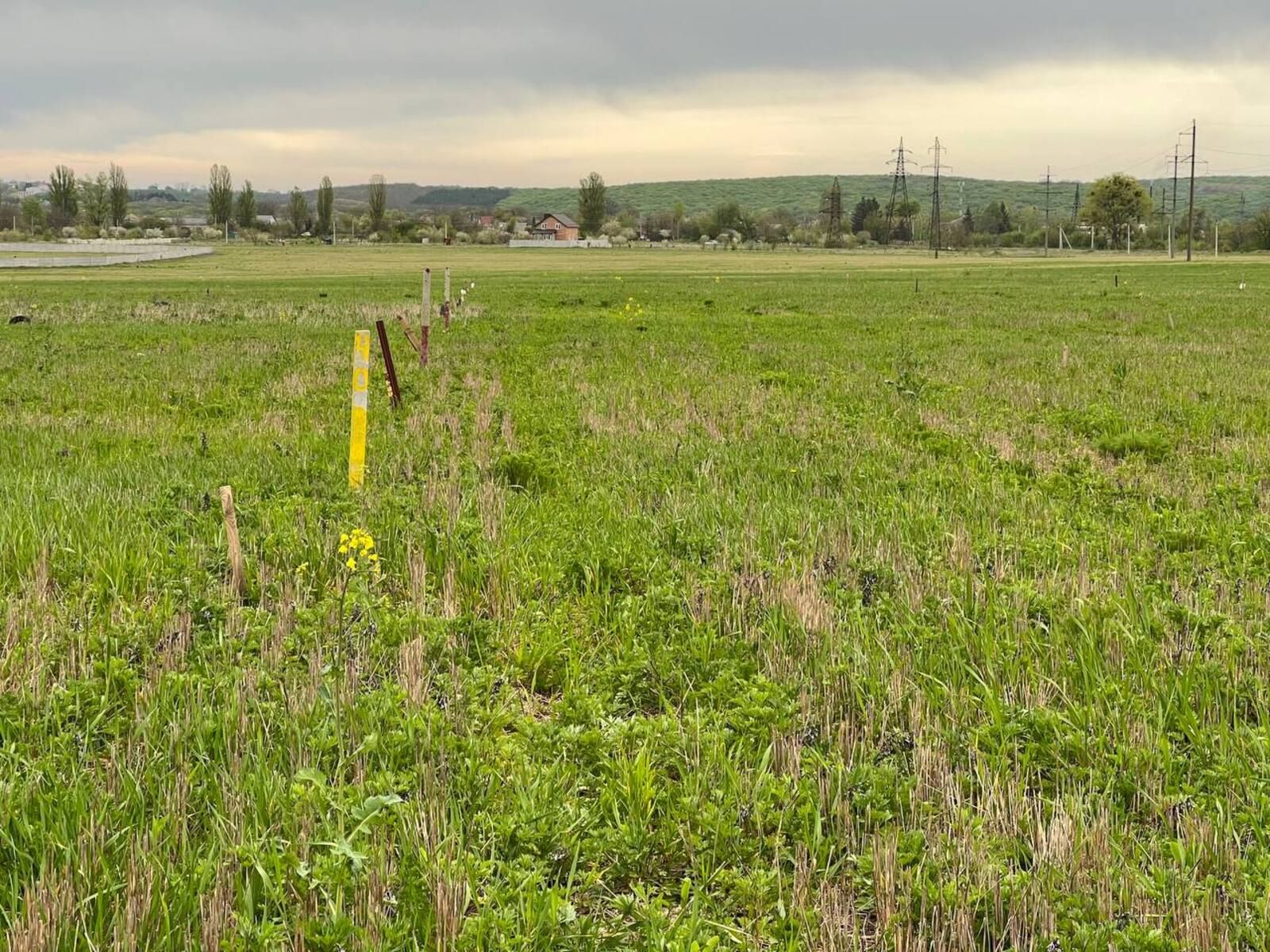Сосед самовольно занял землю Сосед самовольно занял землю