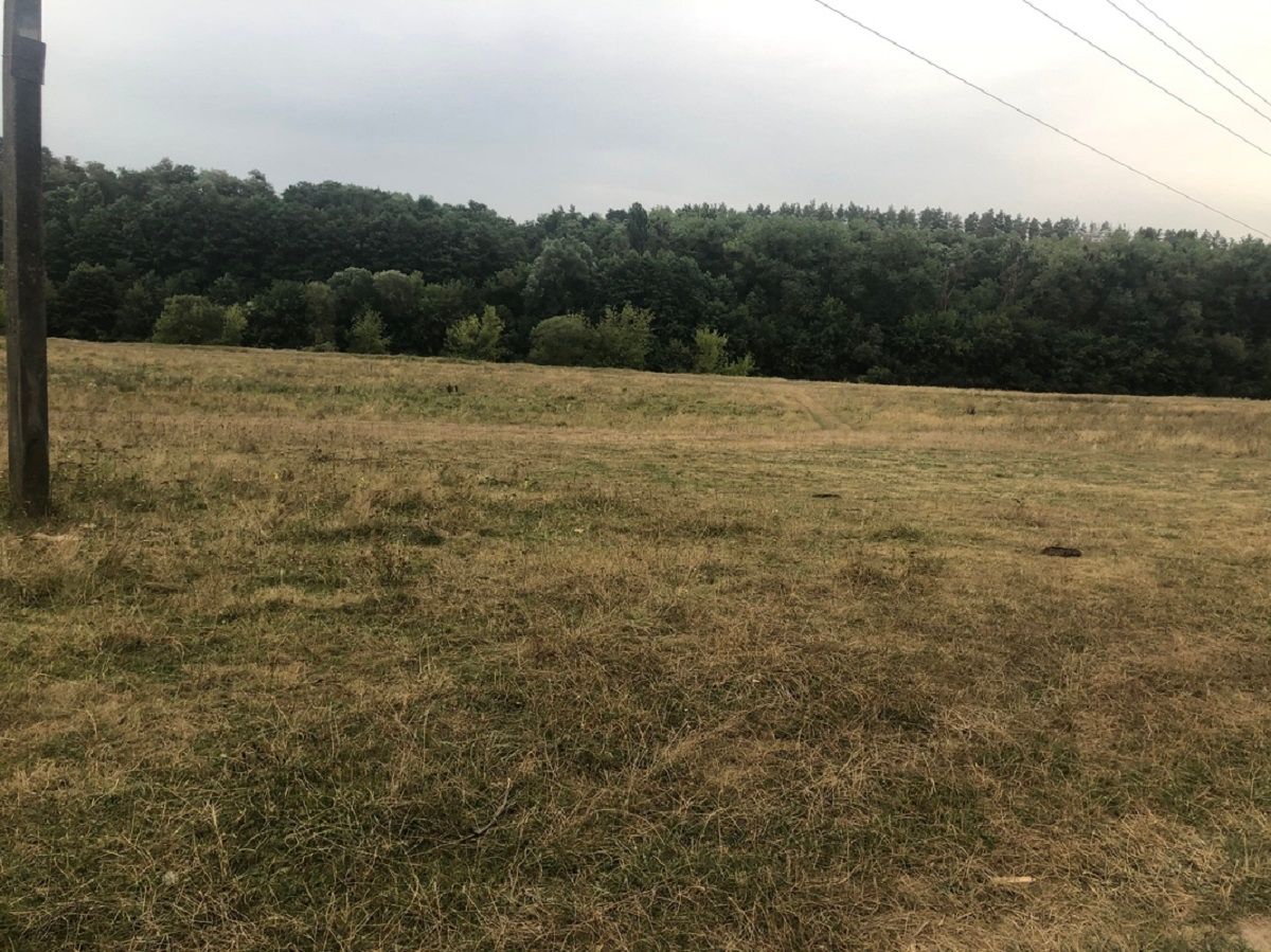 Де знайти вільну земельну ділянку Де знайти вільну земельну ділянку