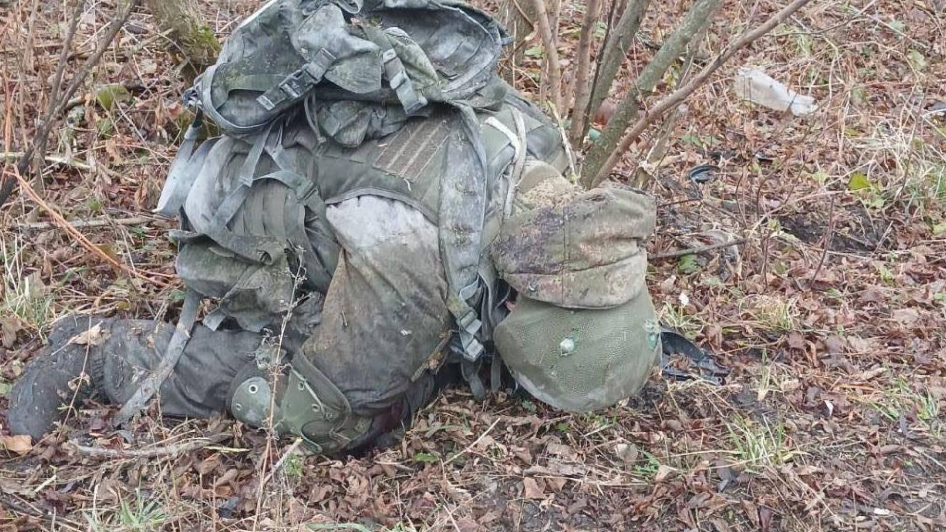 ССО знищили 13 північнокорейців ССО знищили 13 північнокорейців