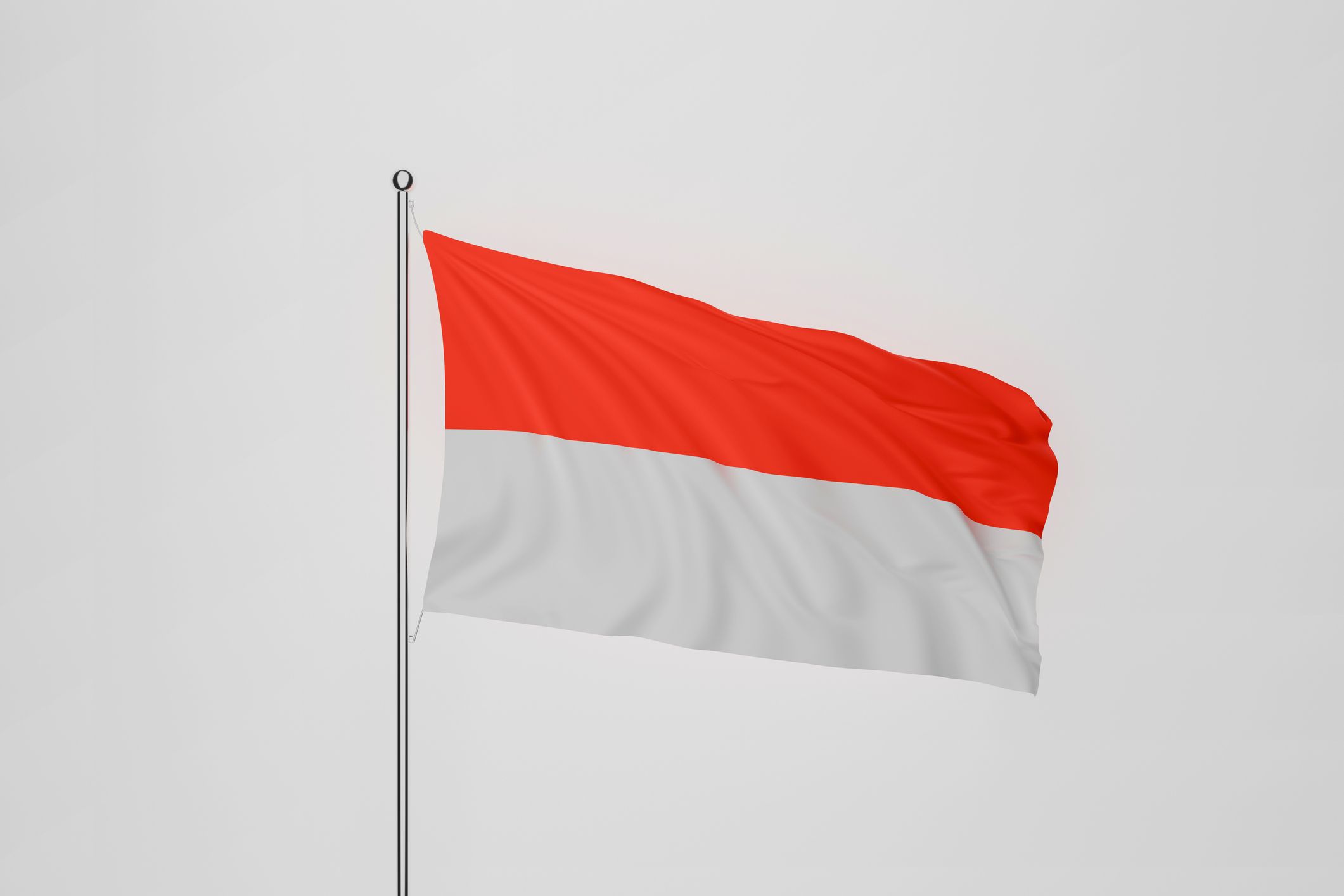 Для чего Индонезии членство в БРИКС Для чего Индонезии членство в БРИКС