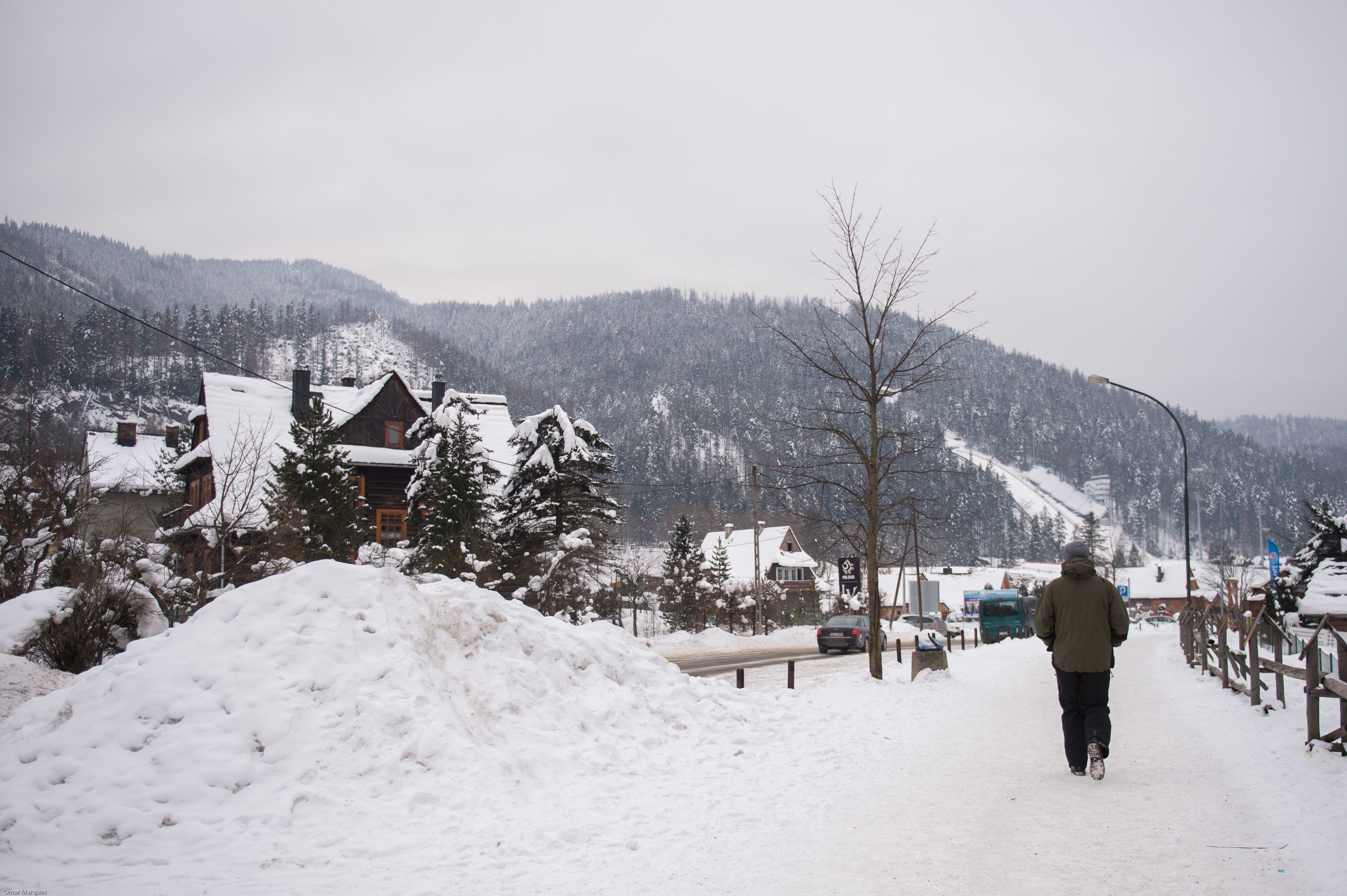 В Карпатах с горы сошла лавина / иллюстративное фото В Карпатах с горы сошла лавина / иллюстративное фото
