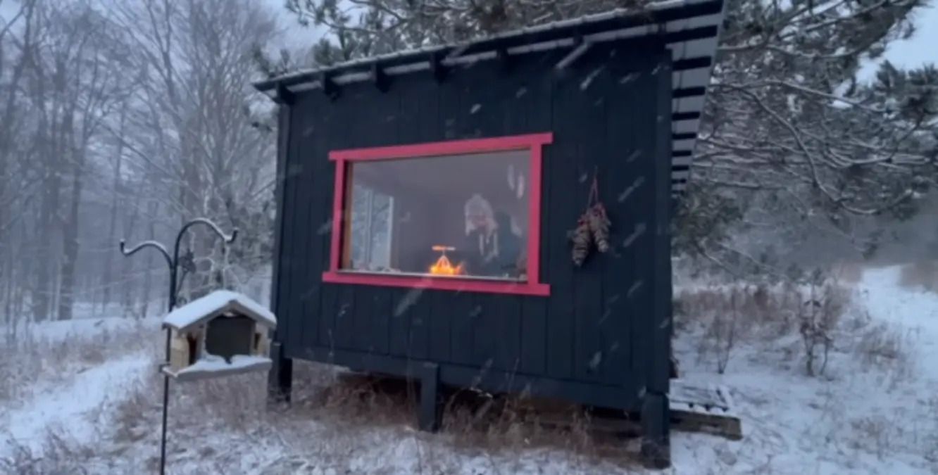 Дом в лесу - как женщина собственноручно построила себе уютное жилье - Недвижимость Дом в лесу - как женщина собственноручно построила себе уютное жилье - Недвижимость