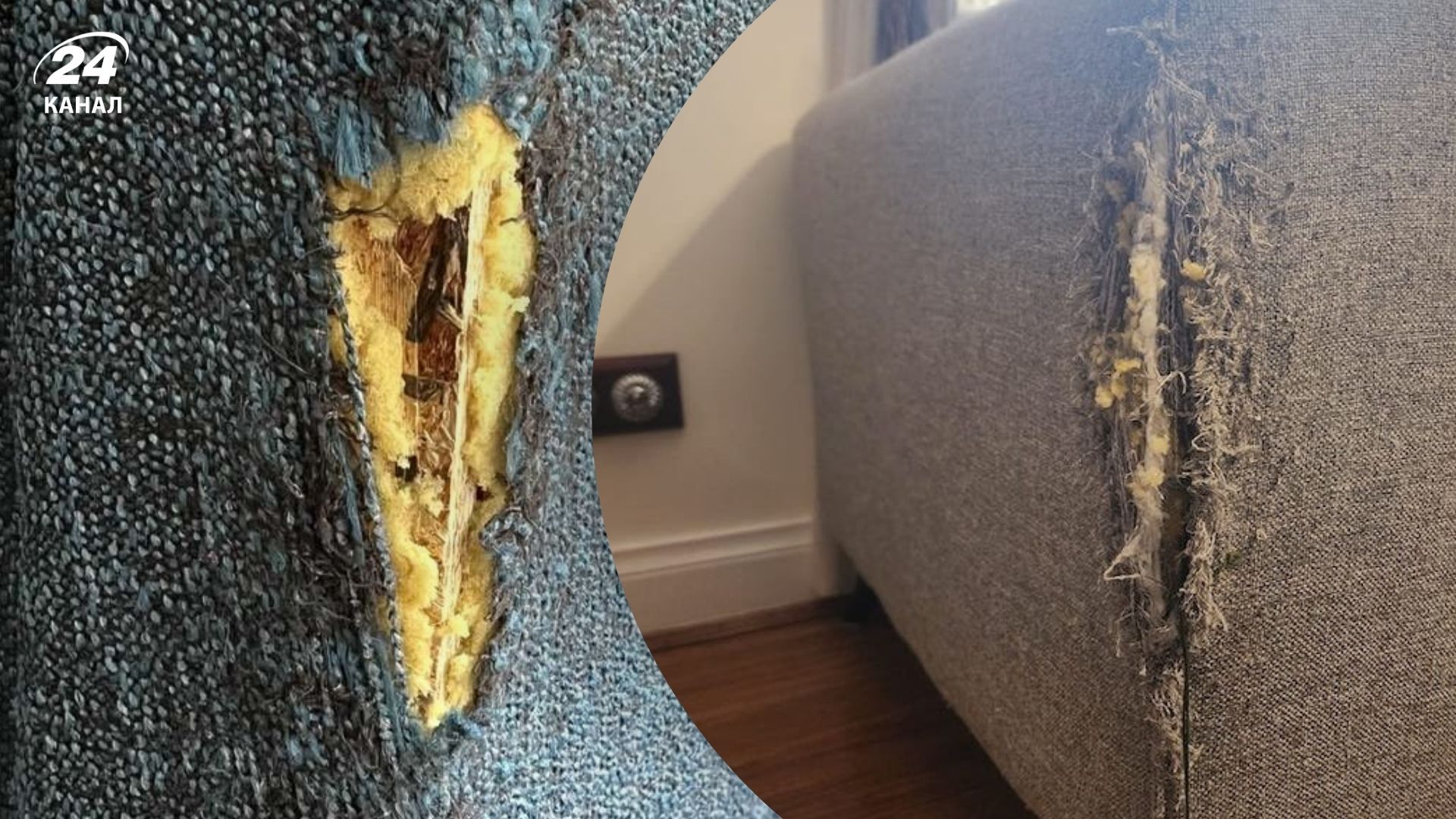 Стефані Луїз показала, як врятувати меблі, які подряпали коти Стефані Луїз показала, як врятувати меблі, які подряпали коти